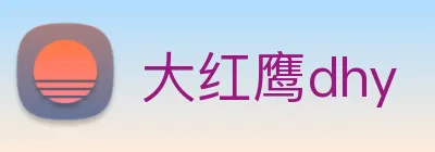 大红鹰dhy logo